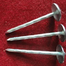 高密市宏宇五金制品廠 專業銷售鍍鋅瓦楞釘的可靠供應商